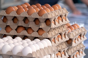 «Таврос» приобрел компанию-производителя пищевого яйца