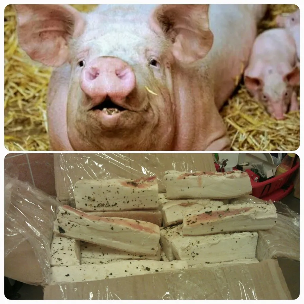 фотография продукта Свиноматки, свиньи, поросята 5-280 кг