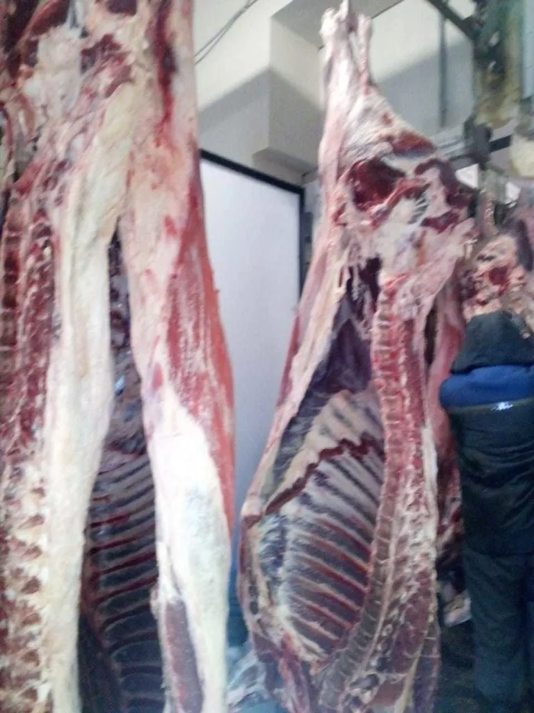 мясо говядина,субпродукты в Владимире и Владимирской области 5