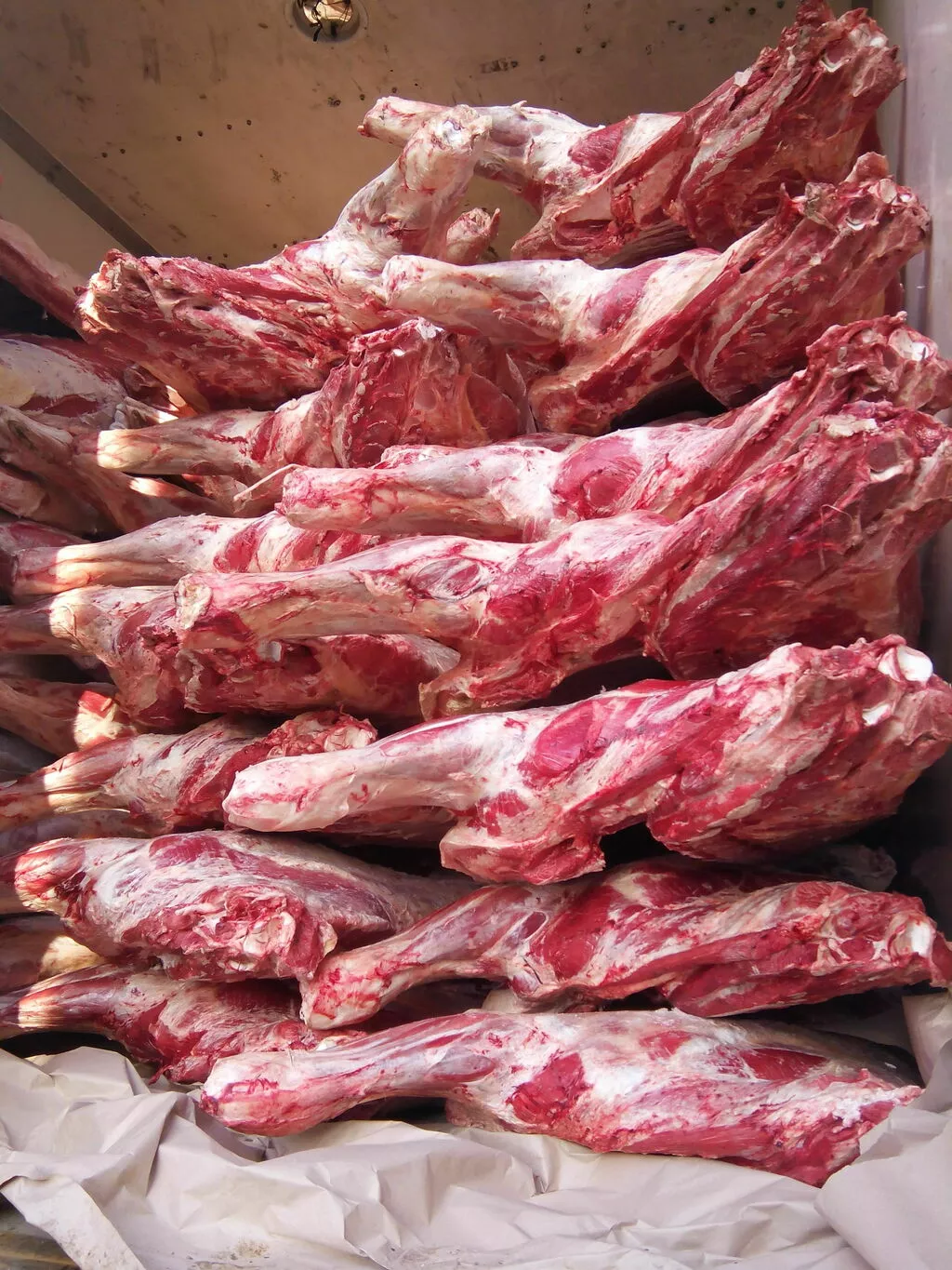 фотография продукта Мясо говядины в четвертях, 1 категории.